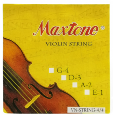 MAXTONE VN STRING 4/4