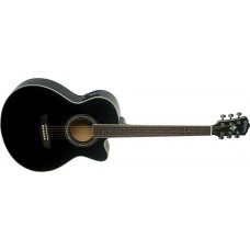 Washburn EA12B-A-U Washburn EA12B-A-U