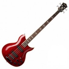 Washburn WB66 TRK