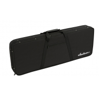 JACKSON DINKY/SOLOIST FOAM CORE CASE
