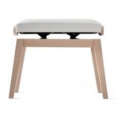 CASIO BG50-VINYL-WE CASIO BG50-VINYL-WE