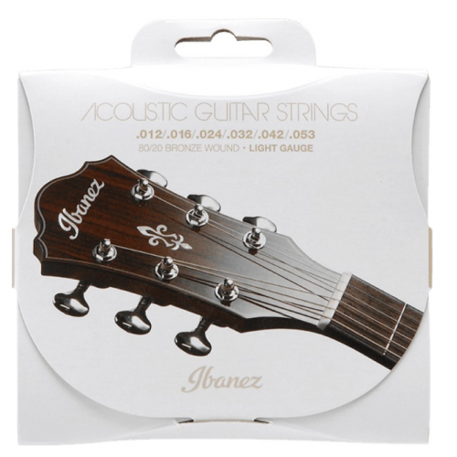 IBANEZ IACS6C ACOUSTIC GUITAR STRING 12-53