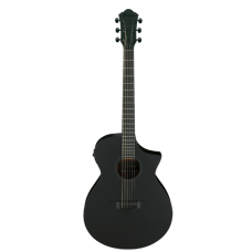 IBANEZ AEWC621 BOT