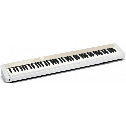 CASIO PX-S1100MBC7
