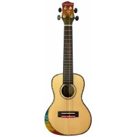 PARKSONS UK24EM