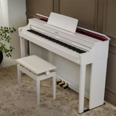 CASIO AP-300WEC7