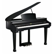 Kurzweil KAG-100 EP