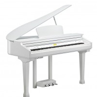 Kurzweil KAG-100 WHP