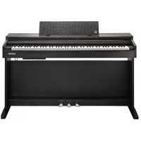 Kurzweil M215 SR