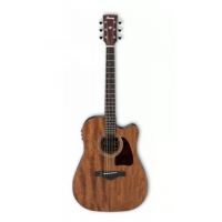 IBANEZ AW54CE-OPN