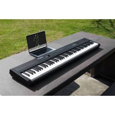 Artesia Performer, Black
