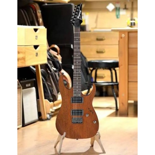 Електрогітара IBANEZ RG421 MOL