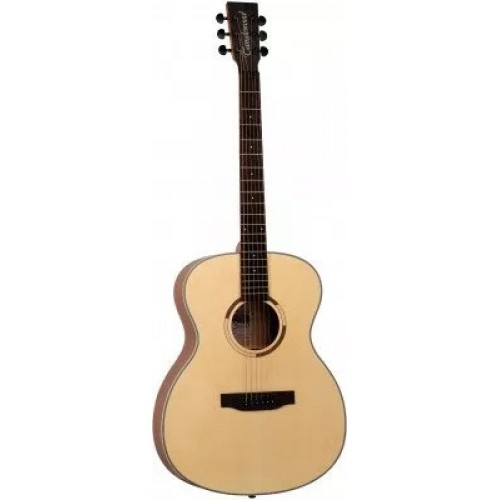 TANGLEWOOD TS3
