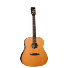 TANGLEWOOD TRS5 SE
