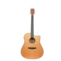 TANGLEWOOD TW5 CE NA