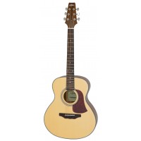 Aria AF-10 MINI N