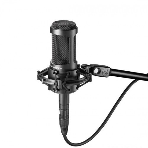 Микрофон универсальный Audio-Technica AT2035