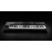 MIDI клавиатура Native Instruments Komplete Kontrol A49
