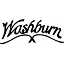 Акустичні гітари Washburn