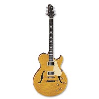 Електрогітара Samick RL3 / AN