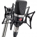 Студийный микрофон Neumann TLM 102 BK