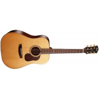 Акустическая гитара CORT GOLD D6 (Natural)