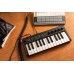 MIDI клавиатура IK MULTIMEDIA iRIG KEYS 2 Mini